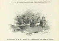 Picture 10 of 10 from Haunted Rooms. A tale. By A. L. O. E. [i.e. Miss C. Tucker (1876), leaf 356