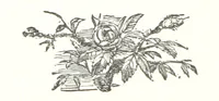 An illustration from Count Teleki. A story of modern Jewish life and customs. By Eca (1869)