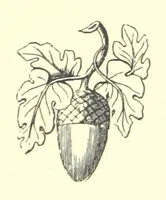 An illustration from Lays of the Colleges, being a collection of songs and verses by members of the Æsculapian, Medico-Chirurgical and other Professional Clubs in Edinburgh (1886)