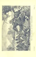 An illustration from Famous American Indians. Red Eagle and the wars with the Creek Indians of Alabama (1878)