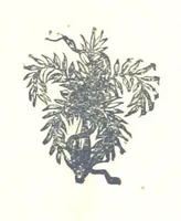 An illustration from Famous American Indians. Red Eagle and the wars with the Creek Indians of Alabama (1878)