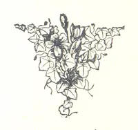 An illustration from Famous American Indians. Red Eagle and the wars with the Creek Indians of Alabama (1878)