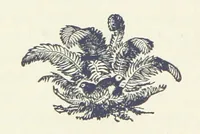 An illustration from History of Elkhart County, Indiana ... History of Indiana ... Illustrated (1881)