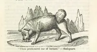 Picture 33 of 79 from Robinson Crusoe's own book; or, the voice of adventure from the civilized man cut off from his fellows ... and from the wanderer in strange seas and lands, etc (1842), leaf 123