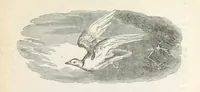 An illustration from Robinson Crusoe's own book; or, the voice of adventure from the civilized man cut off from his fellows ... and from the wanderer in strange seas and lands, etc (1842)