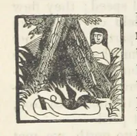 Picture 35 of 79 from Robinson Crusoe's own book; or, the voice of adventure from the civilized man cut off from his fellows ... and from the wanderer in strange seas and lands, etc (1842), leaf 130
