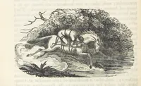 An illustration from Robinson Crusoe's own book; or, the voice of adventure from the civilized man cut off from his fellows ... and from the wanderer in strange seas and lands, etc (1842)
