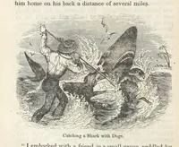 Picture 41 of 79 from Robinson Crusoe's own book; or, the voice of adventure from the civilized man cut off from his fellows ... and from the wanderer in strange seas and lands, etc (1842), leaf 152