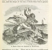 Picture 18 of 79 from Robinson Crusoe's own book; or, the voice of adventure from the civilized man cut off from his fellows ... and from the wanderer in strange seas and lands, etc (1842), leaf 25