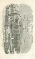 An illustration from Robinson Crusoe's own book; or, the voice of adventure from the civilized man cut off from his fellows ... and from the wanderer in strange seas and lands, etc (1842)