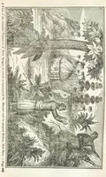 An illustration from Robinson Crusoe's own book; or, the voice of adventure from the civilized man cut off from his fellows ... and from the wanderer in strange seas and lands, etc (1842)