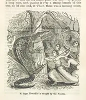 Picture 61 of 79 from Robinson Crusoe's own book; or, the voice of adventure from the civilized man cut off from his fellows ... and from the wanderer in strange seas and lands, etc (1842), leaf 325