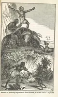 Picture 66 of 79 from Robinson Crusoe's own book; or, the voice of adventure from the civilized man cut off from his fellows ... and from the wanderer in strange seas and lands, etc (1842), leaf 367