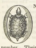 An illustration from Robinson Crusoe's own book; or, the voice of adventure from the civilized man cut off from his fellows ... and from the wanderer in strange seas and lands, etc (1842)