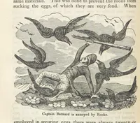 Picture 24 of 79 from Robinson Crusoe's own book; or, the voice of adventure from the civilized man cut off from his fellows ... and from the wanderer in strange seas and lands, etc (1842), leaf 70