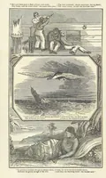 An illustration from Robinson Crusoe's own book; or, the voice of adventure from the civilized man cut off from his fellows ... and from the wanderer in strange seas and lands, etc (1842)