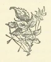 An illustration from Estella. A novel. By Elma (1876)