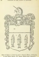 Picture 13 of 50 from The Visitation of Suffolk, made by William Hervey [in 1561] ... With additions from ... Jermyn, Davy, and other MSS. &c. Edited by J. J. Howard. [Extracted from “The East Anglian.” (1866), leaf 108