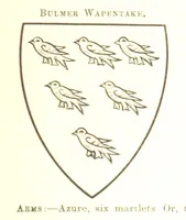 Picture 49 of 201 from Dugdale's Visitation of Yorkshire, [in 1665-66.] with additions. Edited by J. W. Clay (1899), leaf 175