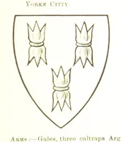 Picture 56 of 201 from Dugdale's Visitation of Yorkshire, [in 1665-66.] with additions. Edited by J. W. Clay (1899), leaf 193