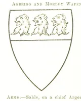 Picture 92 of 201 from Dugdale's Visitation of Yorkshire, [in 1665-66.] with additions. Edited by J. W. Clay (1899), leaf 316