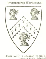 Picture 152 of 201 from Dugdale's Visitation of Yorkshire, [in 1665-66.] with additions. Edited by J. W. Clay (1899), leaf 460