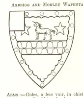 Picture 169 of 201 from Dugdale's Visitation of Yorkshire, [in 1665-66.] with additions. Edited by J. W. Clay (1899), leaf 492