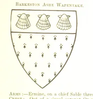 Picture 181 of 201 from Dugdale's Visitation of Yorkshire, [in 1665-66.] with additions. Edited by J. W. Clay (1899), leaf 507