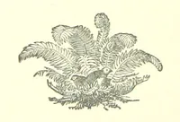 An illustration from Our Native Land, its scenery and associations. A series of 36 water-colour sketches after Rowbotham, Read, Needham, and other eminent artists. With descriptive notes. [The author of the text identified on the wrapper of pt. 1 as “the author of By Loch and by Land”, i.e. Jean L. Watson (1879)