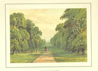 An illustration from New Series (1880)