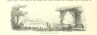 An illustration from New Series (1880)