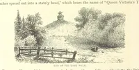 Picture 42 of 86 from New Series (1880), leaf 76