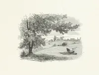 An illustration from Nature and Art: poems and pictures from the best authors and artists. Compiled by L. R. Estes. Illustrated with ... etchings ... and ... illustrations, etc (1890)