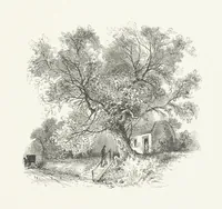 An illustration from Nature and Art: poems and pictures from the best authors and artists. Compiled by L. R. Estes. Illustrated with ... etchings ... and ... illustrations, etc (1890)