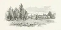 An illustration from Nature and Art: poems and pictures from the best authors and artists. Compiled by L. R. Estes. Illustrated with ... etchings ... and ... illustrations, etc (1890)