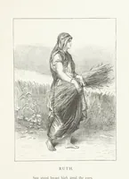 Picture 62 of 75 from Nature and Art: poems and pictures from the best authors and artists. Compiled by L. R. Estes. Illustrated with ... etchings ... and ... illustrations, etc (1890), leaf 163