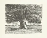 An illustration from Nature and Art: poems and pictures from the best authors and artists. Compiled by L. R. Estes. Illustrated with ... etchings ... and ... illustrations, etc (1890)