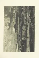 An illustration from Nature and Art: poems and pictures from the best authors and artists. Compiled by L. R. Estes. Illustrated with ... etchings ... and ... illustrations, etc (1890)
