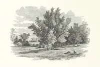 An illustration from Nature and Art: poems and pictures from the best authors and artists. Compiled by L. R. Estes. Illustrated with ... etchings ... and ... illustrations, etc (1890)