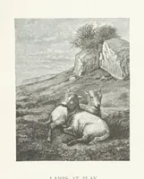 Picture 27 of 75 from Nature and Art: poems and pictures from the best authors and artists. Compiled by L. R. Estes. Illustrated with ... etchings ... and ... illustrations, etc (1890), leaf 75