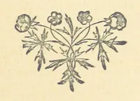 An illustration from At the Mercy of Tiberius (1897)