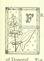 Picture 7 of 7 from Popular Poets of the period ... being ... biographical & critical sketches ... of poets of our own time and country, with ... selections from their works ... Edited by F. A. H. E (1888), leaf 257