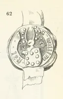 An illustration from Forschungen auf dem Gebiete der Rheinischen und Westphälischen Geschichte, etc (1864)