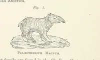 Picture 1 of 84 from The Practice and Science of Mining Engineering: a manual adapted for the use of mine owners, etc (1896), leaf 18