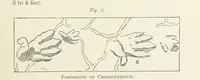 Picture 2 of 84 from The Practice and Science of Mining Engineering: a manual adapted for the use of mine owners, etc (1896), leaf 19