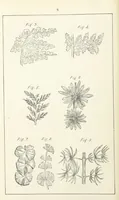 An illustration from The Practice and Science of Mining Engineering: a manual adapted for the use of mine owners, etc (1896)