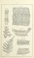 An illustration from The Practice and Science of Mining Engineering: a manual adapted for the use of mine owners, etc (1896)