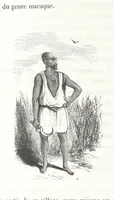 An illustration from À travers la Kabylie, etc (1865)