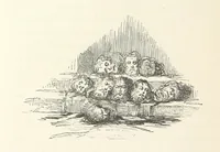 An illustration from Kabyles et Kroumirs ... Dessins de MM. Andrieux, Duhousset, C. Gosselin, II. Vogel, d'après le croquis de l'auteur. Gravure de F. Méaulle (1882)