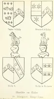 Picture 37 of 55 from The Church Heraldry of Norfolk: a description of all coats of arms on brasses, monuments, etc., now to be found in the county. Illustrated ... With Notes from the inscriptions attached (1885), leaf 215
